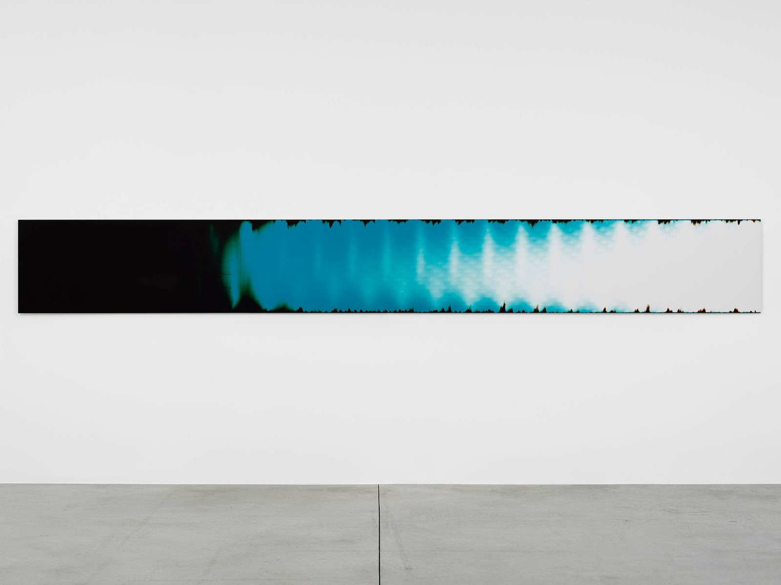 Broomberg & Chanarin, Repatriation II, 2008