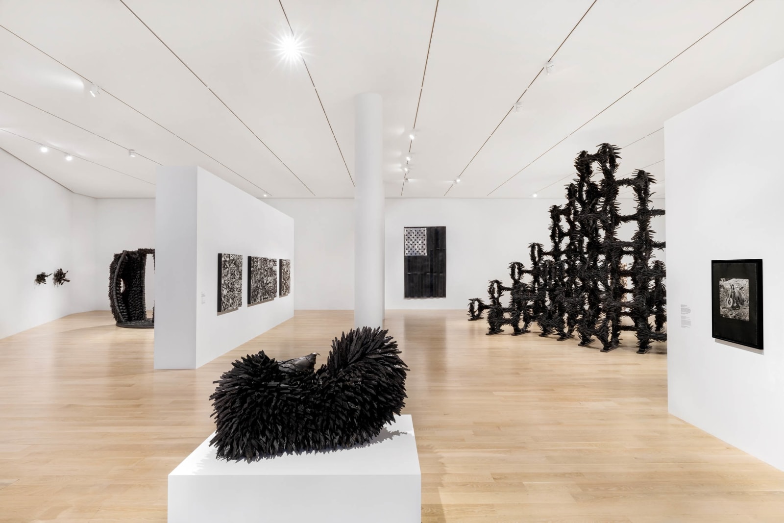 Chakaia Booker, Manipulating Fractions, 2004