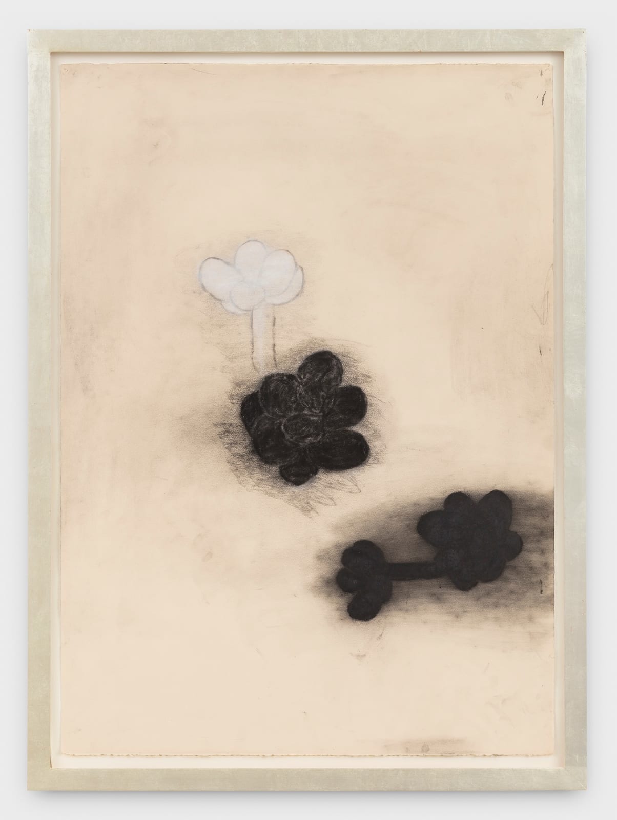 Terry Winters, Dark Plants # 3, 1982