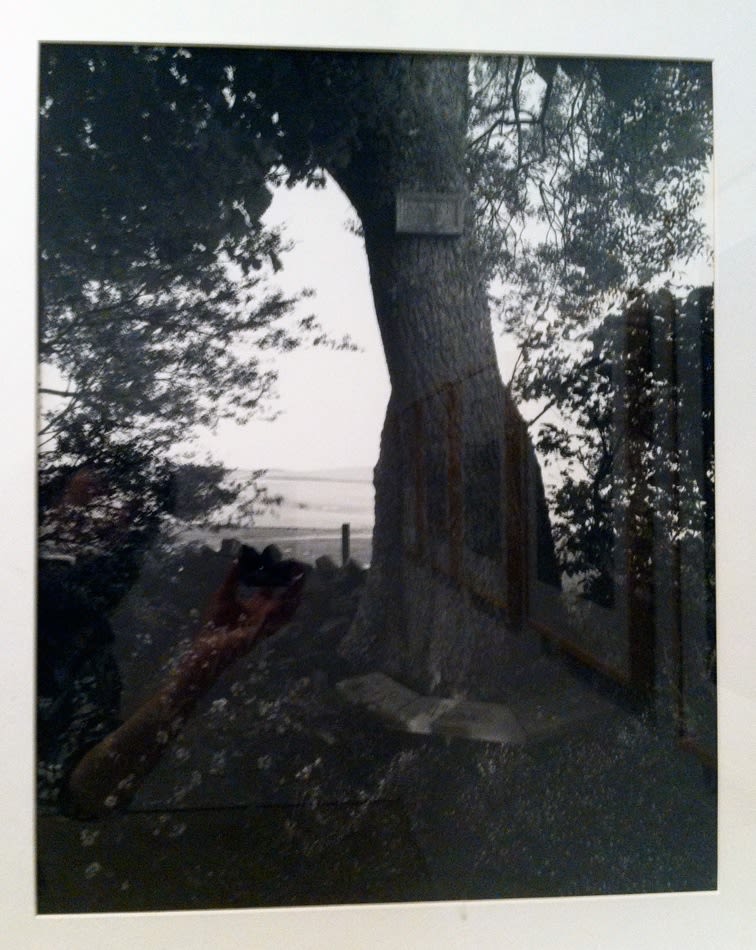 Ian Hamilton Finlay with Werner Hannappel, The Front Garden: Mare Nostrum and The Sea's Waves, 1993-95