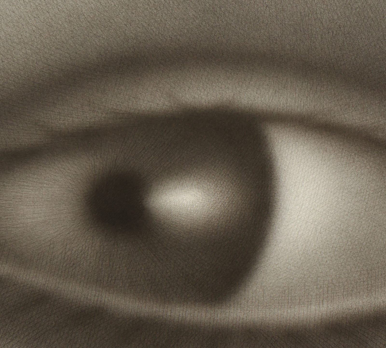 Rodolfo Abularach, Laro, 1983-86