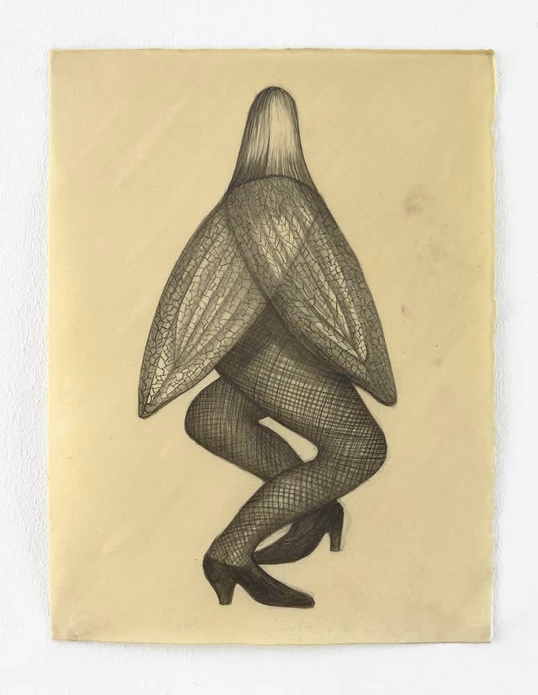 Sandra Vásquez de la Horra, La Mosca (The Fly), 2016
