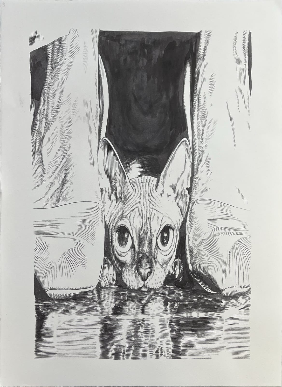 Tim Brawner, Pinion, 2025