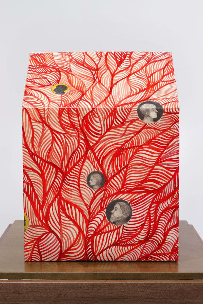 Sandra Vásquez de la Horra, El Sueño del Àrbol Rojo (The Dream of the Red Tree), 2016