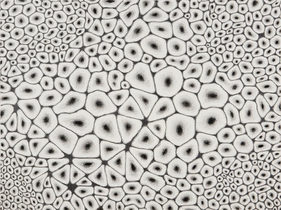 Alexander Ross, Untitled, 2010