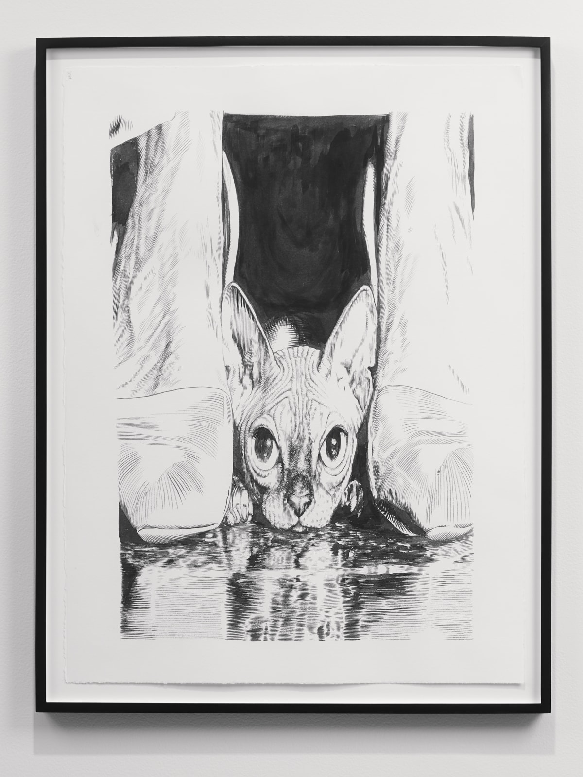 Tim Brawner, Pinion, 2025