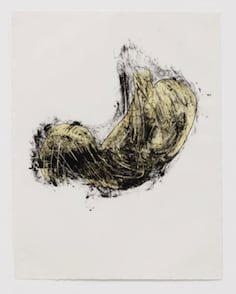 Kiki Smith, Possession is Nine-tenths of the Law, 1985