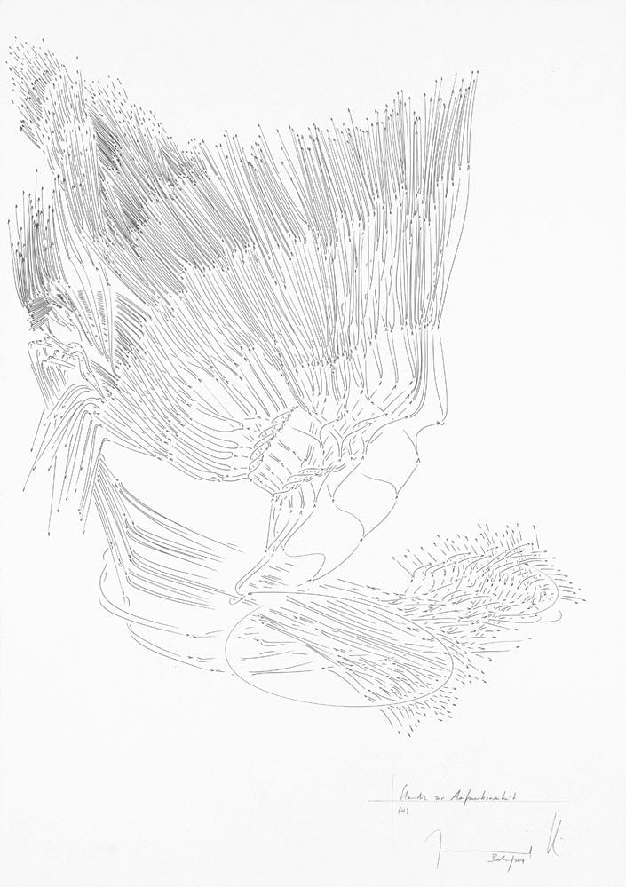 Jorinde Voigt, Studie zur Aufmerksamkeit 4, 2014