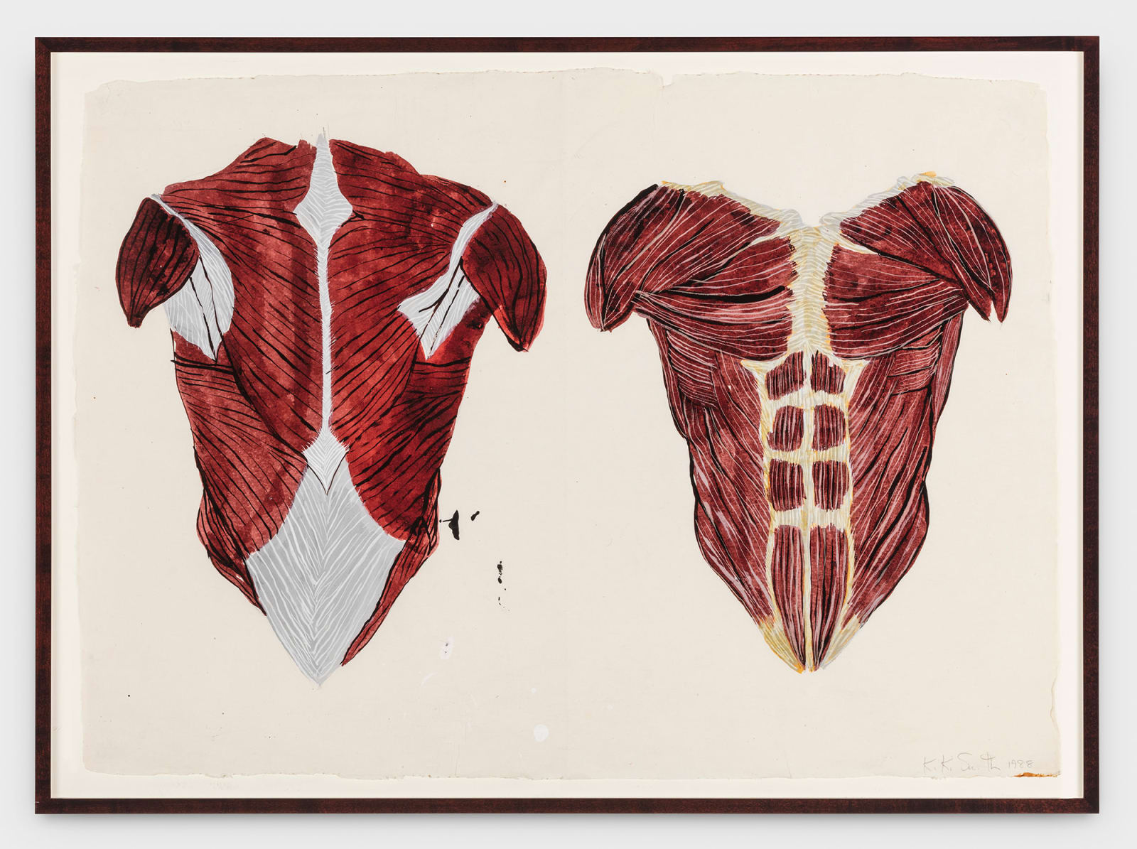 Kiki Smith, Untitled (Torsos), 1988