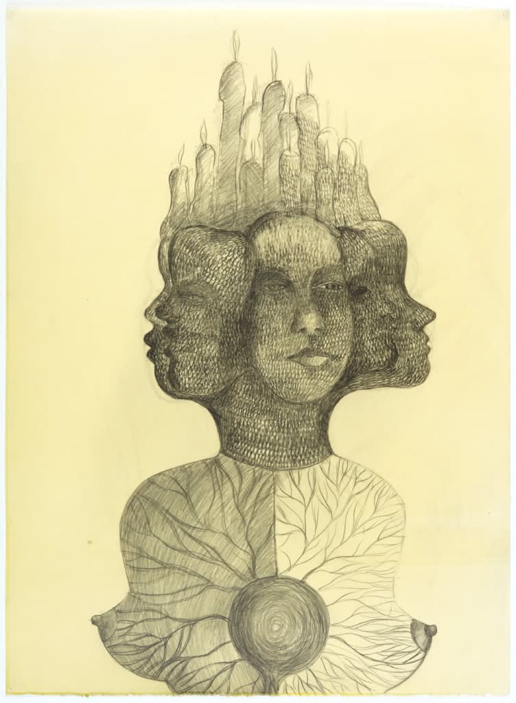 Sandra Vásquez de la Horra, Memorias Lemurianas (Memories of the Lemurians), 2012