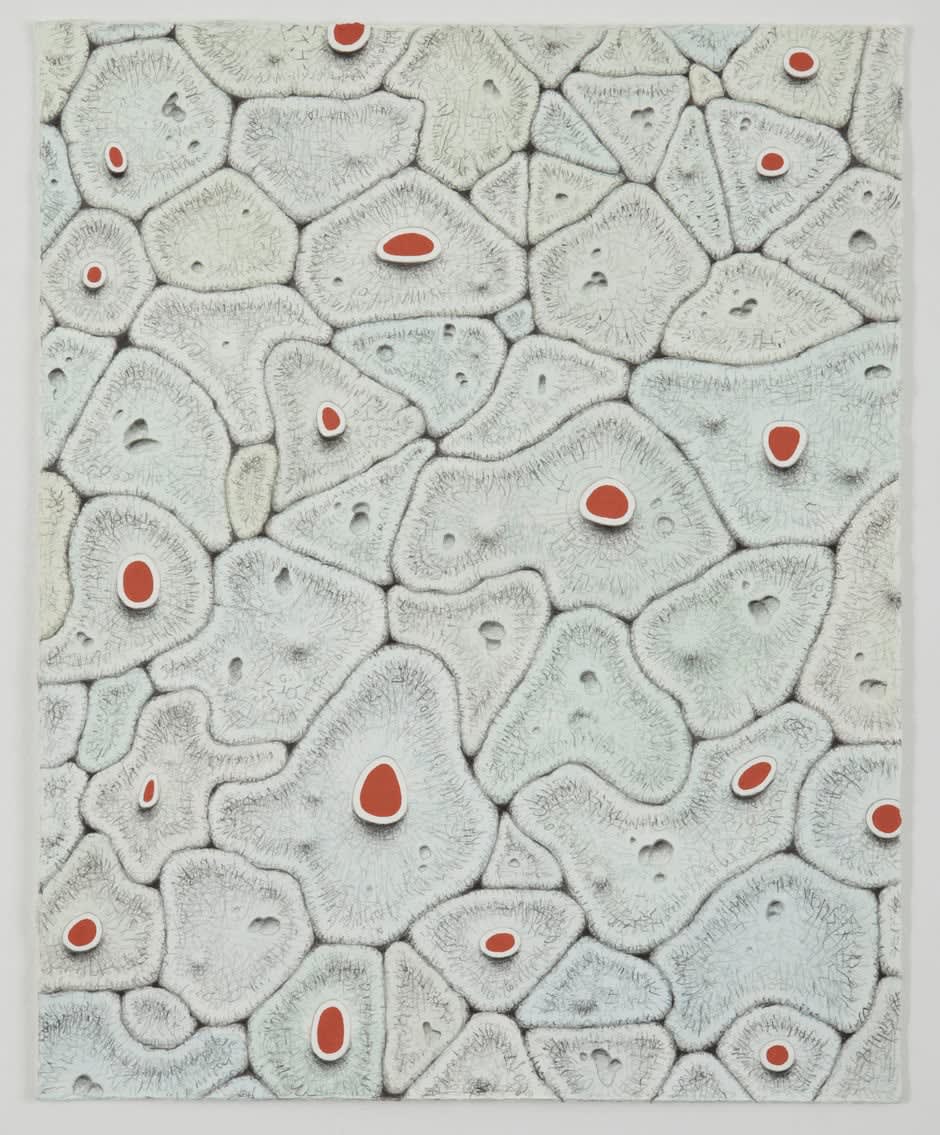 Alexander Ross, Untitled, 2009
