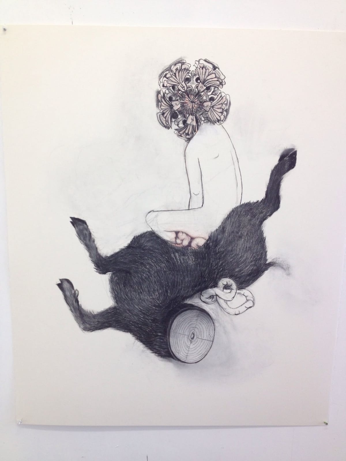 Alice Maher, The Glorious Maid (of the Charnel House), 2016
