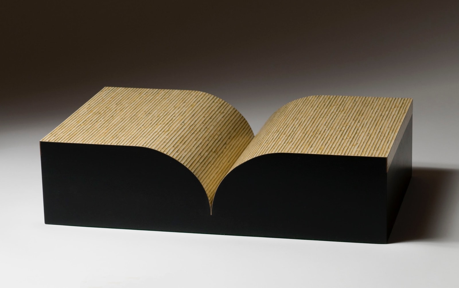 Richard Artschwager, Book, 1987