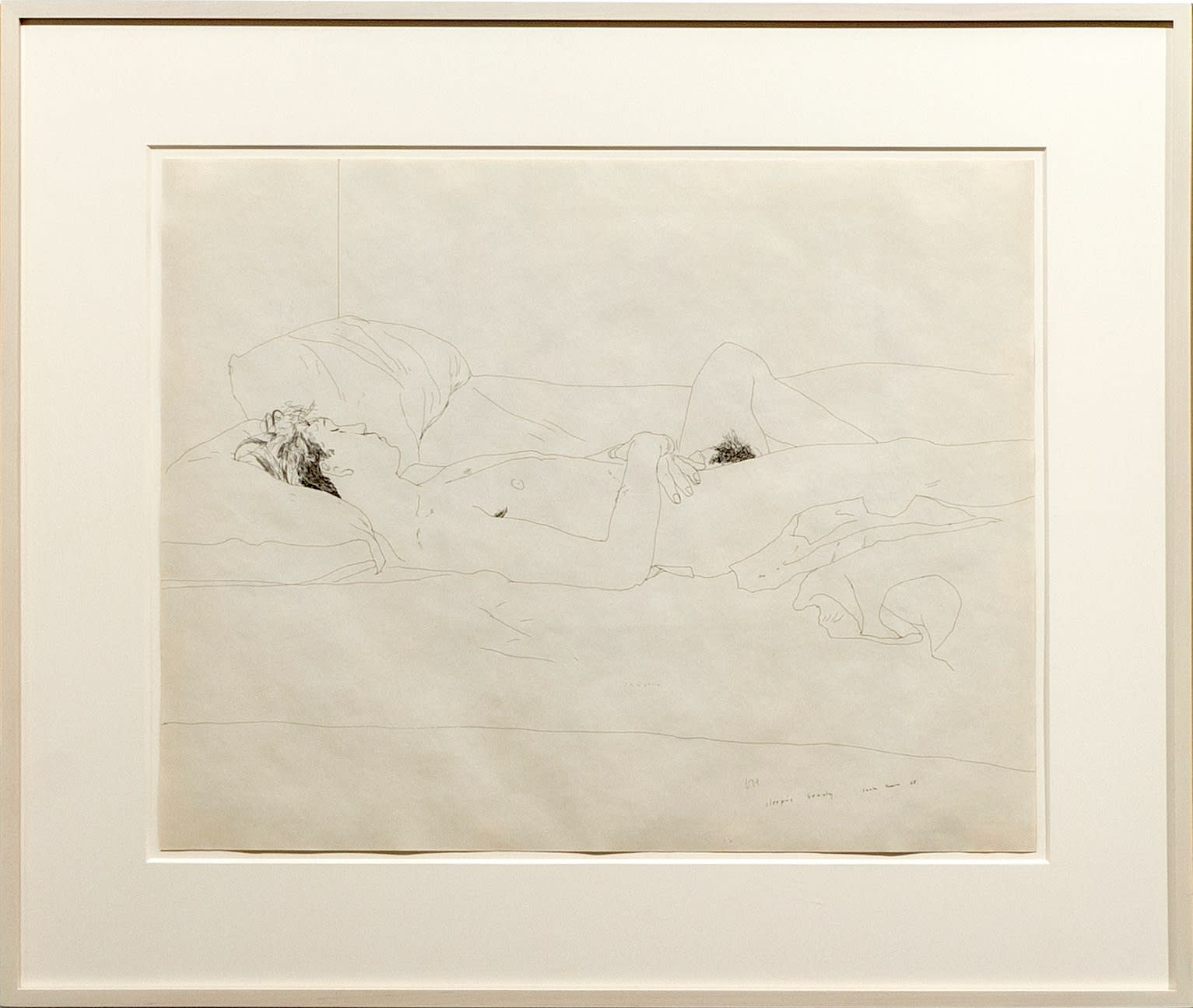 David Hockney, Sleeping Beauty, 1968