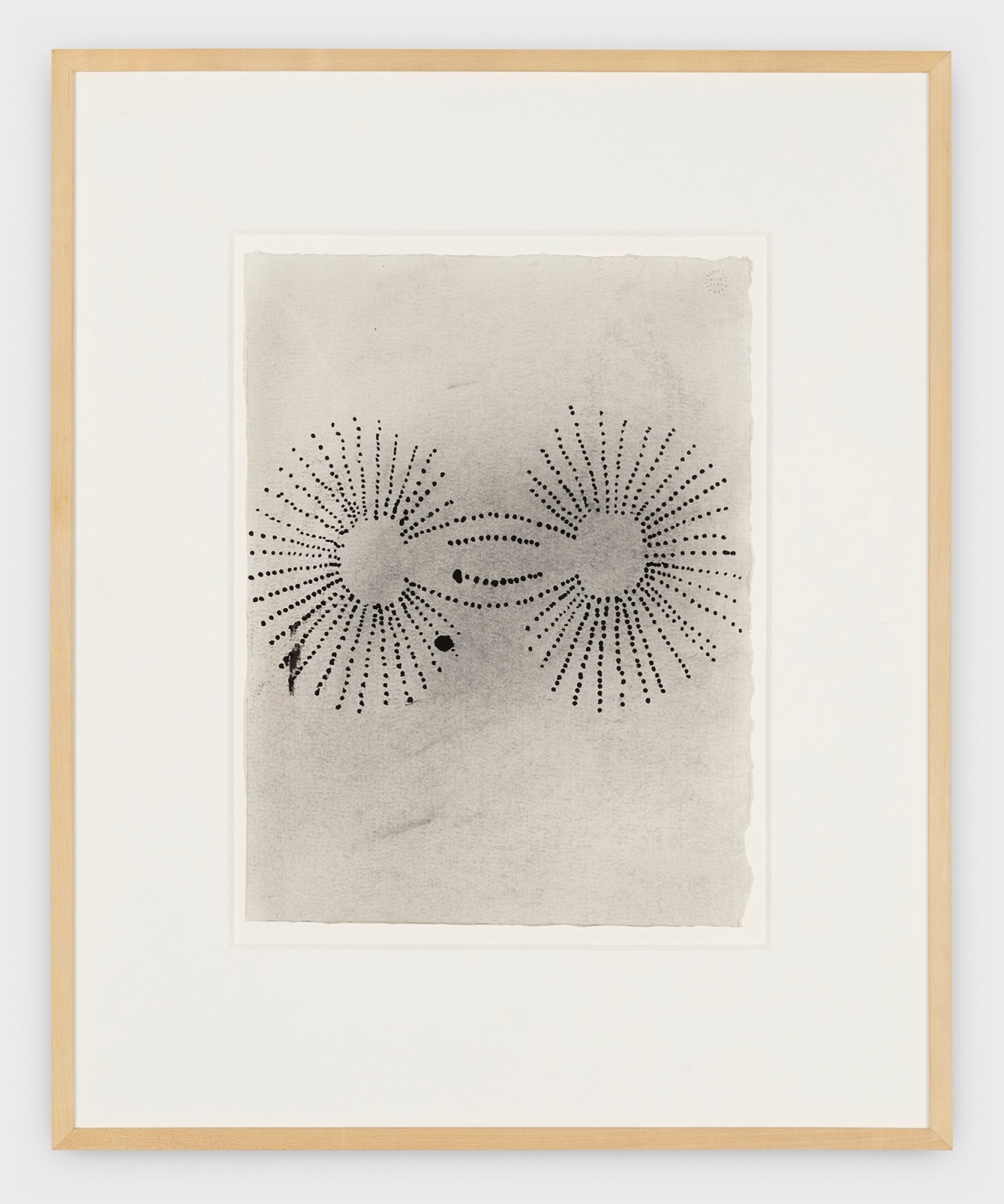 Terry Winters, Untitled, 1988