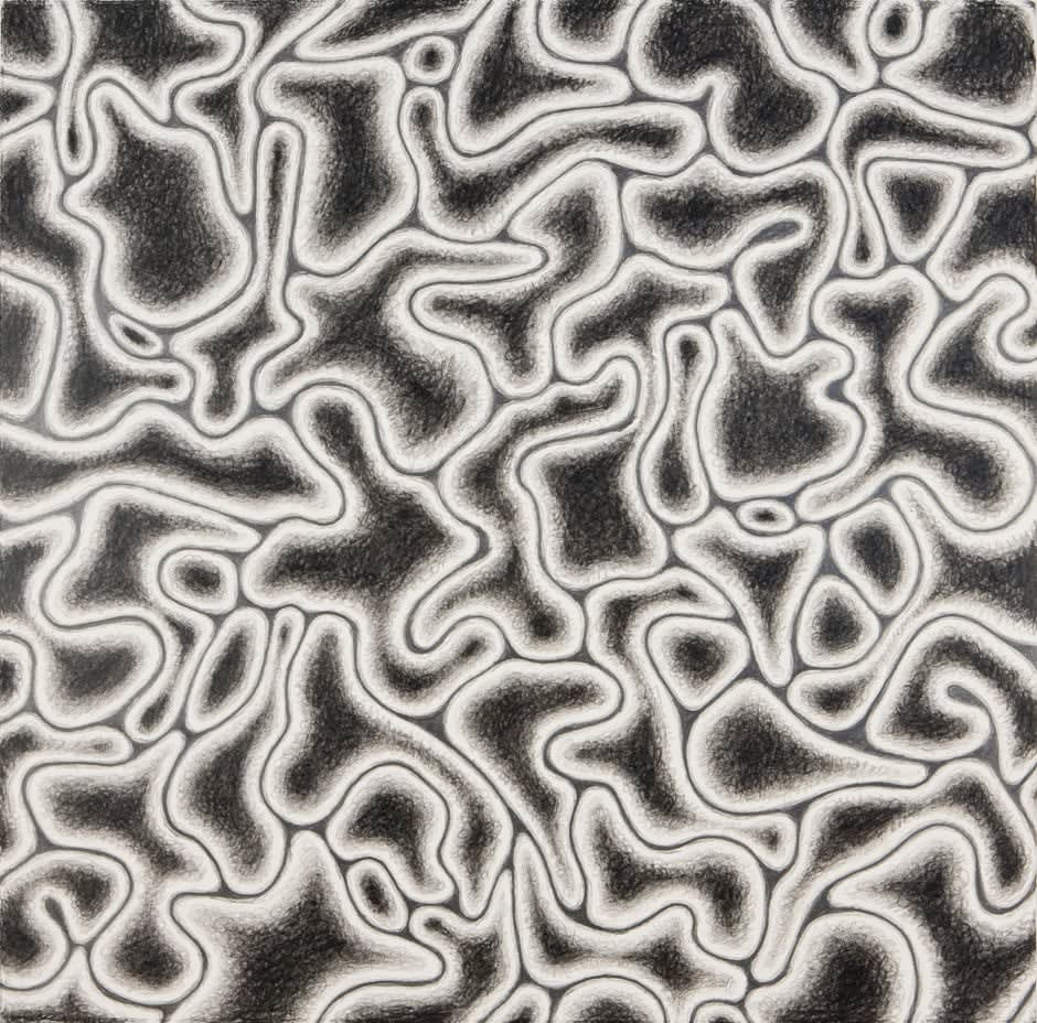 Alexander Ross, Untitled, 2010