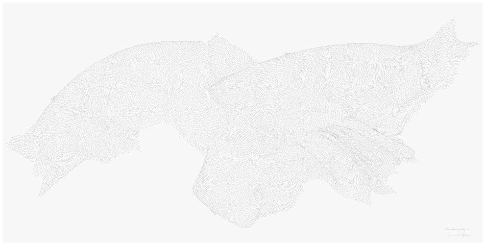 Jorinde Voigt, 10 Territorien / Konvex-Konkav / Richtungswechsel, 2010