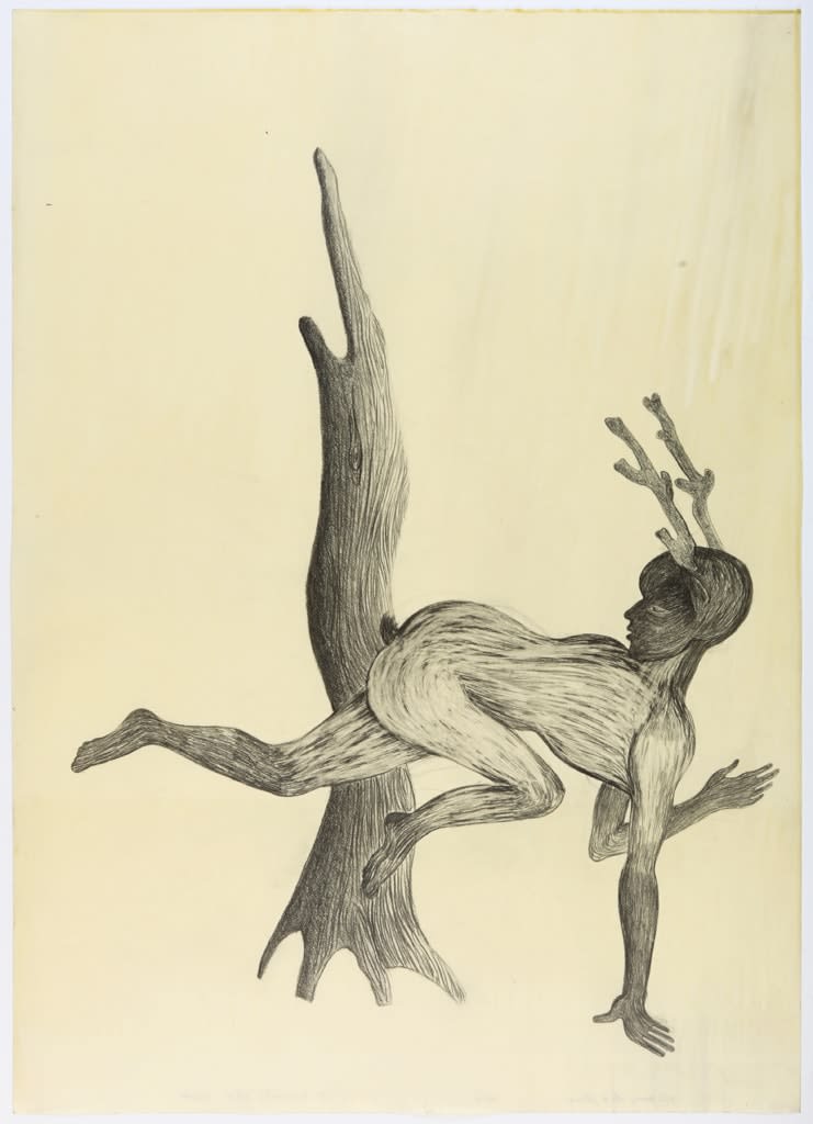 Sandra Vásquez de la Horra, El espiritu del ciervo (The spirit of the deer), 2012