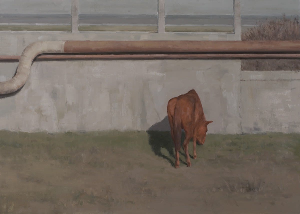 Serban Savu, Heavy Light, 2008