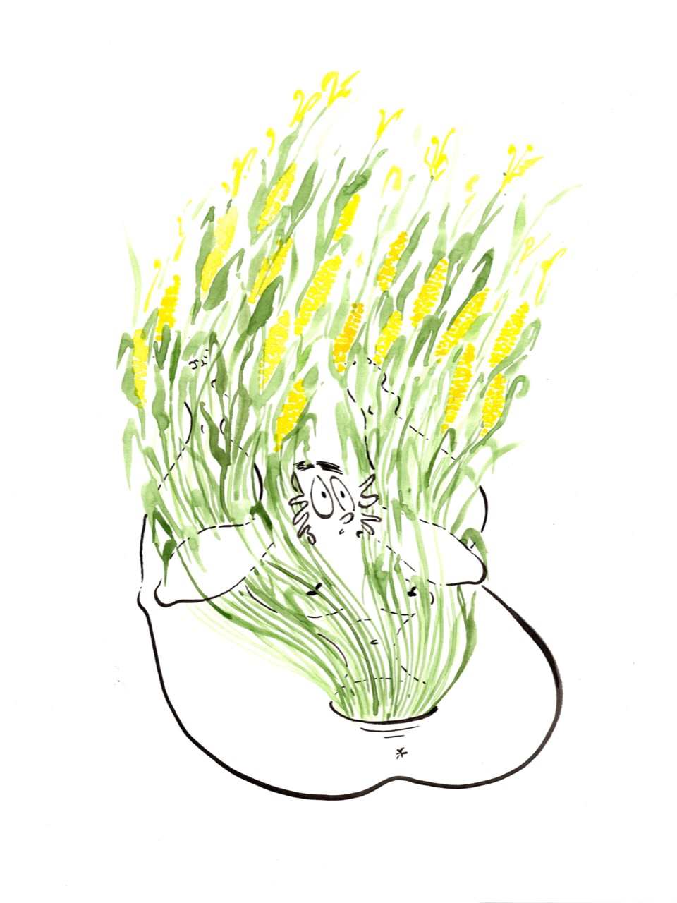 Ebecho Muslimova, Fatebe Corn Field, 2019