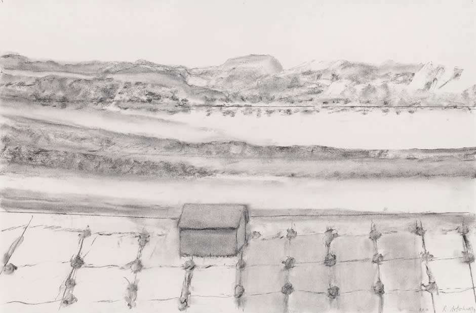 Richard Artschwager, New Mexico Landscape, 2010