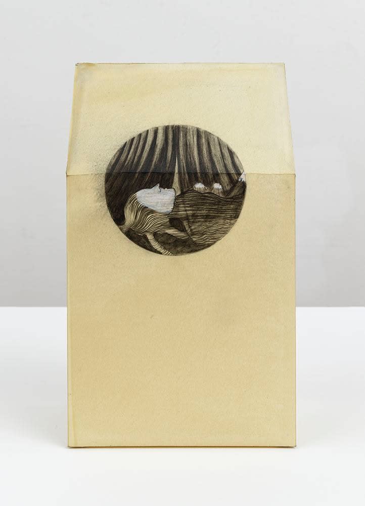 Sandra Vásquez de la Horra, Develando (Revealing), 2017