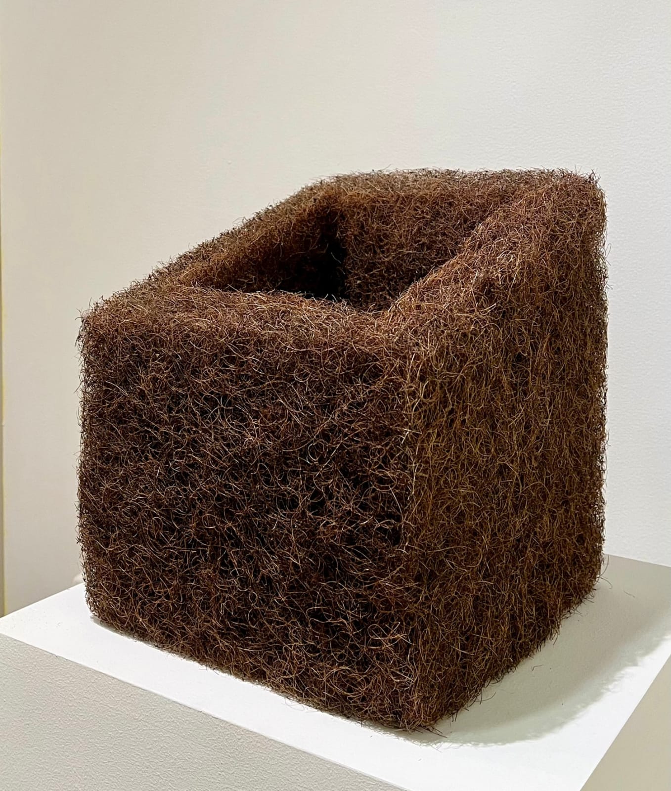 Richard Artschwager, Hair Box, 1969