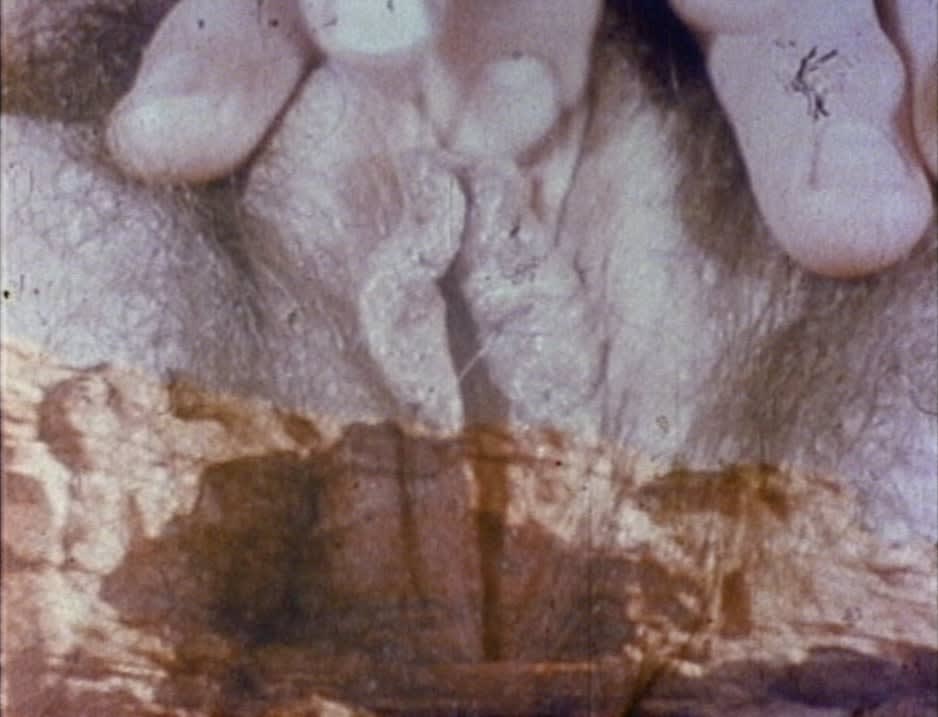 Barbara Hammer, Multiple Orgasm, 1976