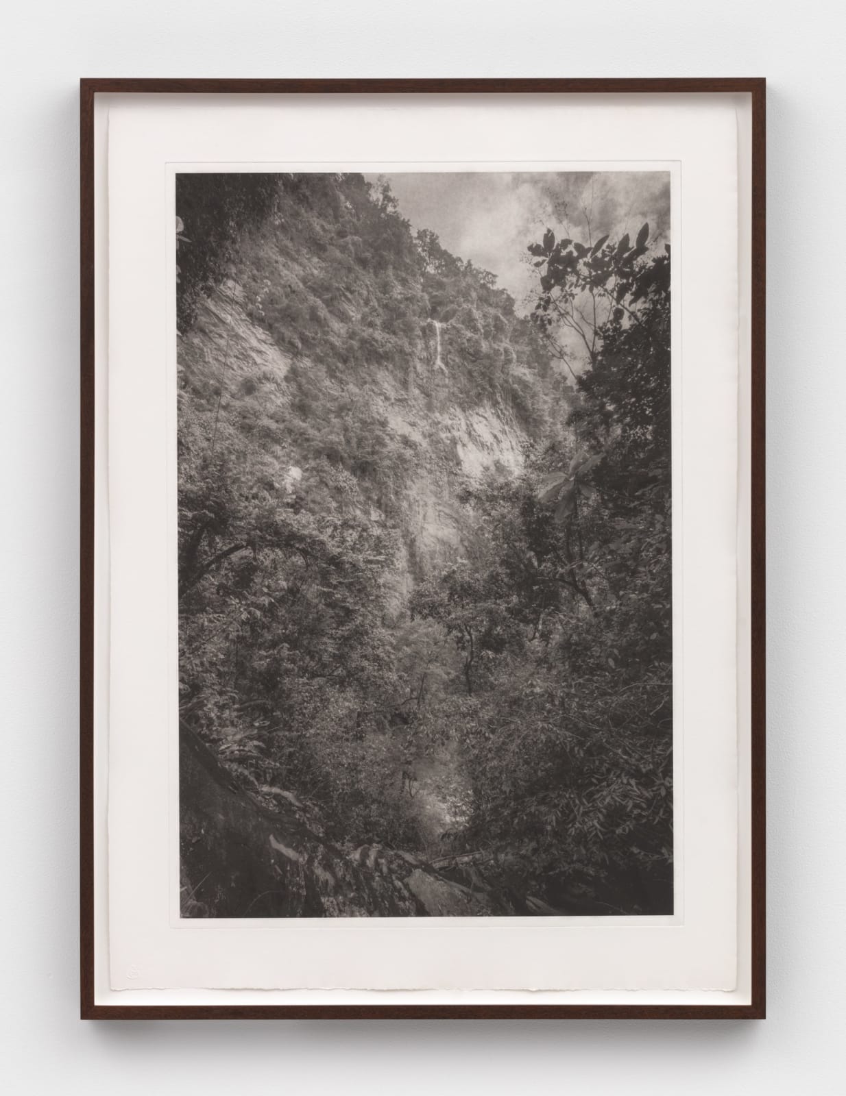 David Hartt, The Histories (after Cazabon), 2020