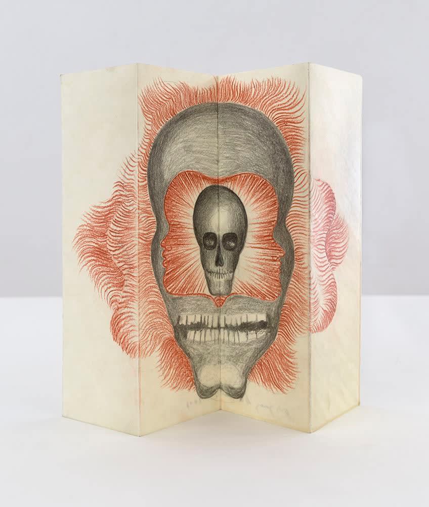 Sandra Vásquez de la Horra, Tunel I (Tunnel I), 2017