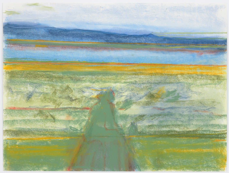 Richard Artschwager, Into the Desert, 2013