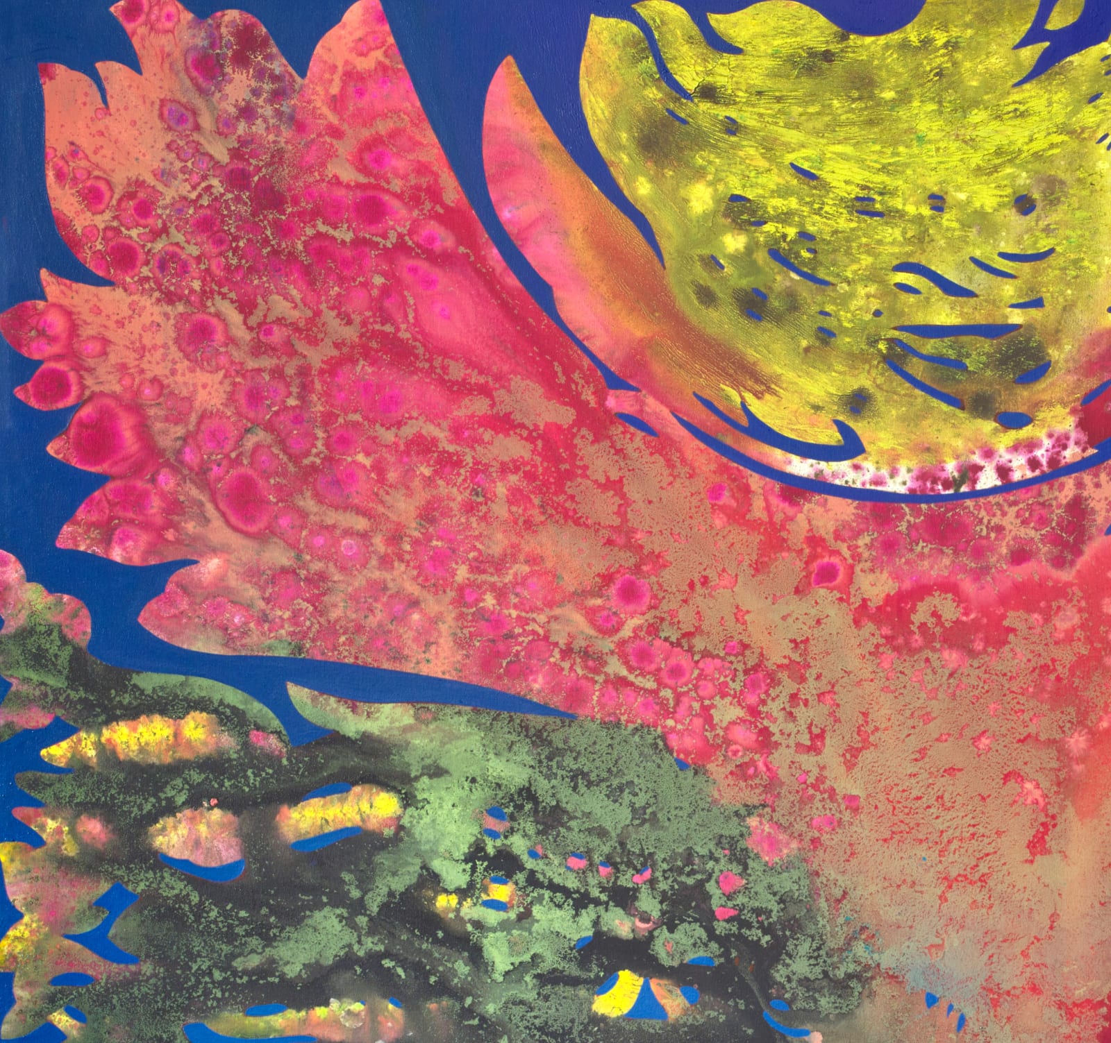 Vian Sora, The Sky from Below, 2024-25