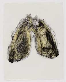 Kiki Smith, Possession is Nine-tenths of the Law, 1985