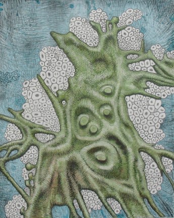 Alexander Ross, Untitled, 2009