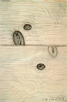 Carroll Dunham, Untitled, 1982