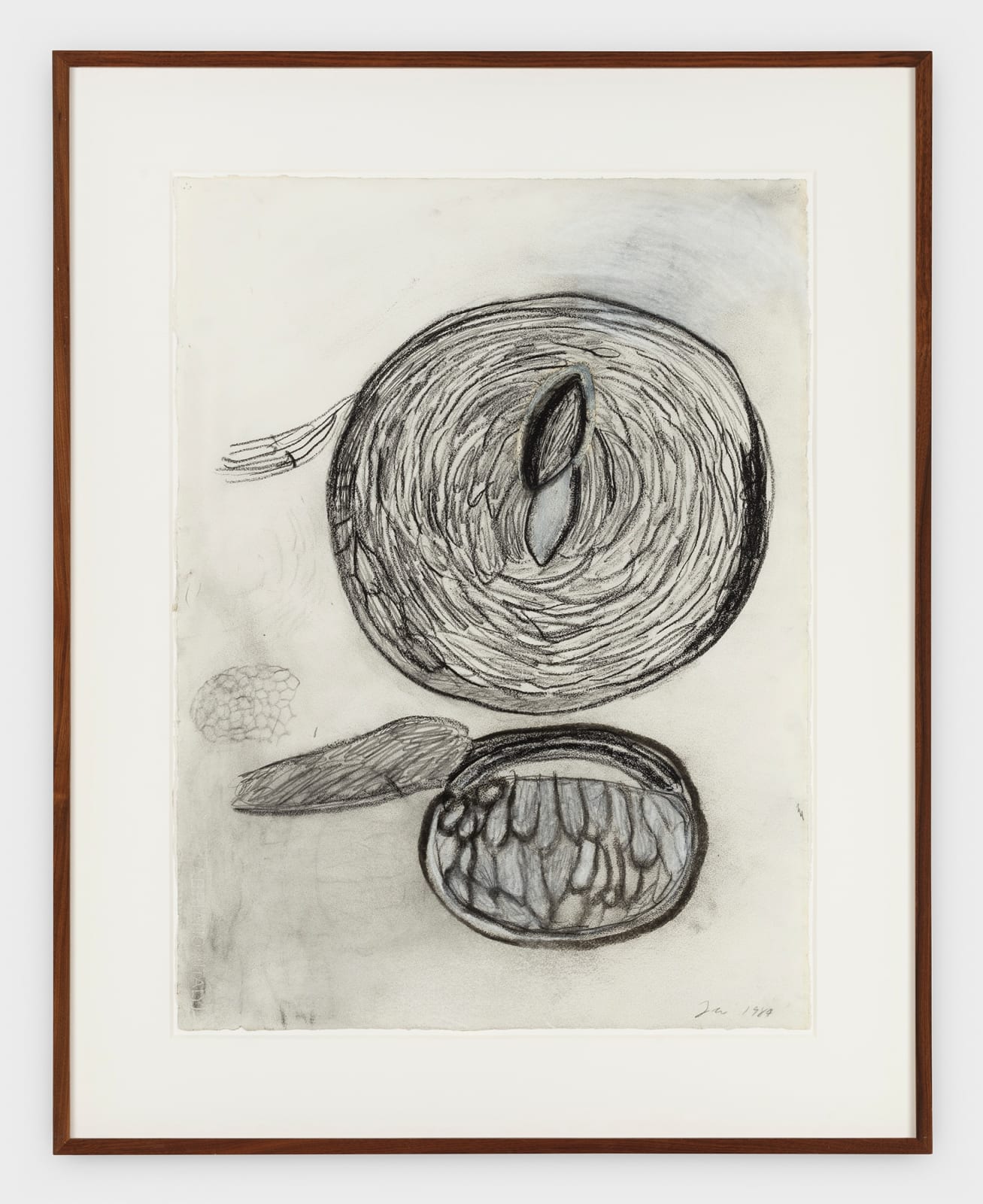 Terry Winters, Untitled, 1984