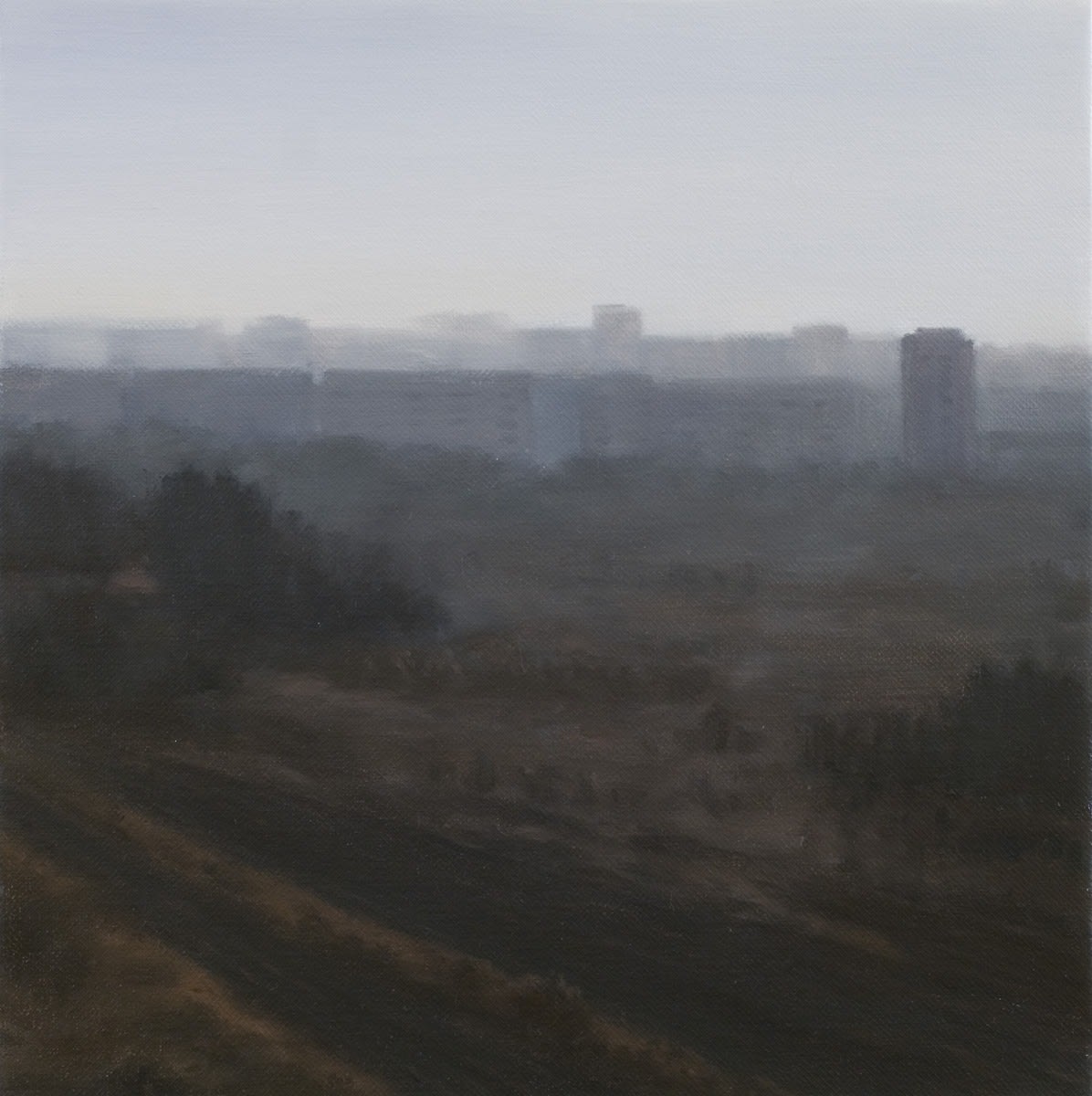 Serban Savu, Peripheral View, 2008