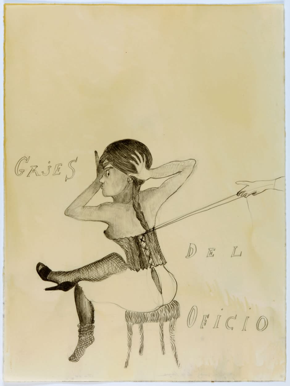 Sandra Vásquez de la Horra, Gajes de Oficio (Occupational Hazard), 2011