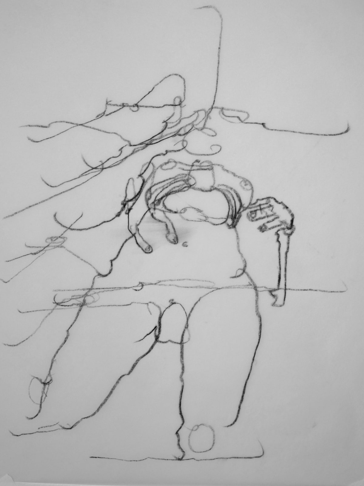 Chloe Piene, Moor, 2009