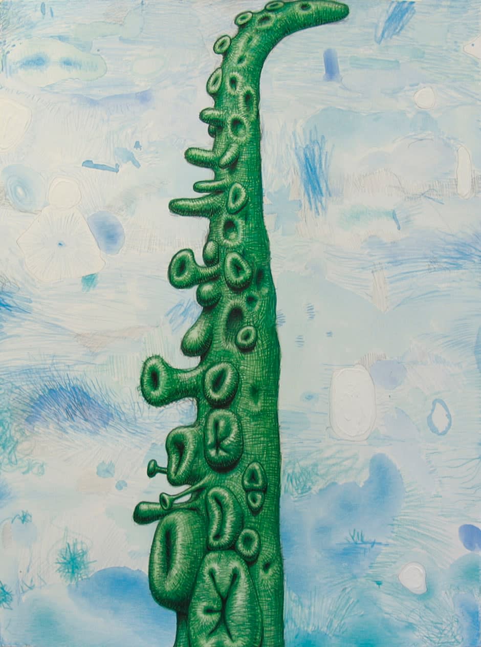 Alexander Ross, Untitled, 2011