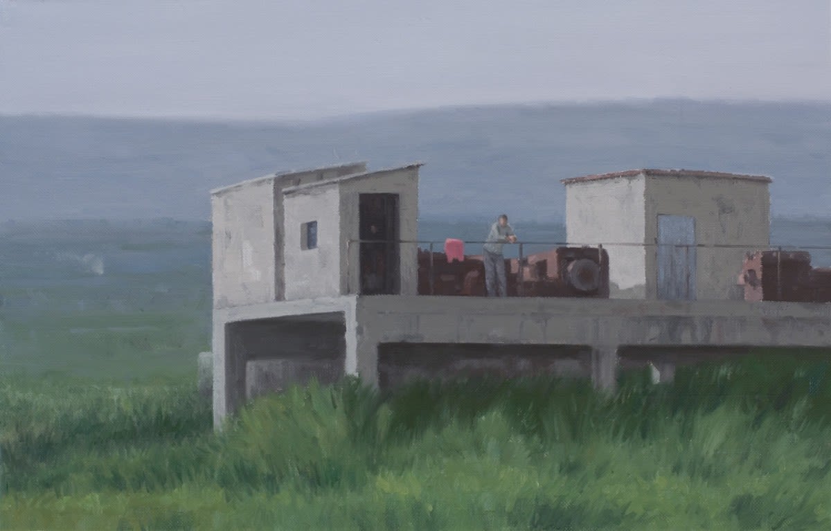 Serban Savu, The Guardian of the Valley, 2008