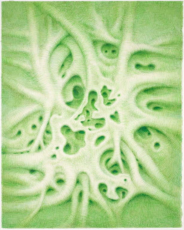 Alexander Ross, Untitled, 2009