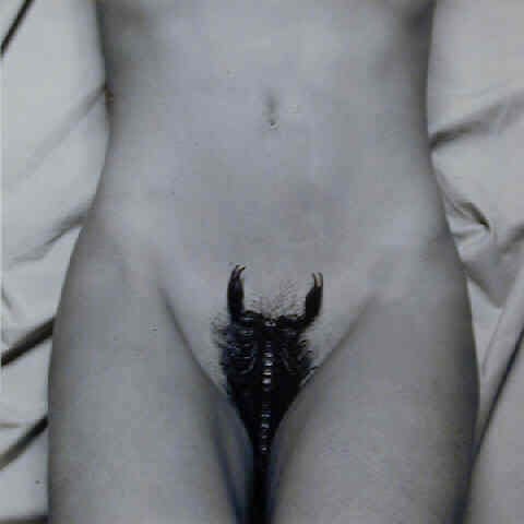 Robert Mapplethorpe, Lisa Lyon, 1982 / printed 2009
