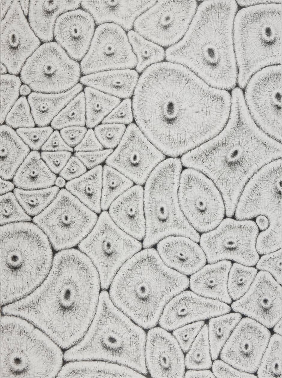Alexander Ross, Untitled, 2010