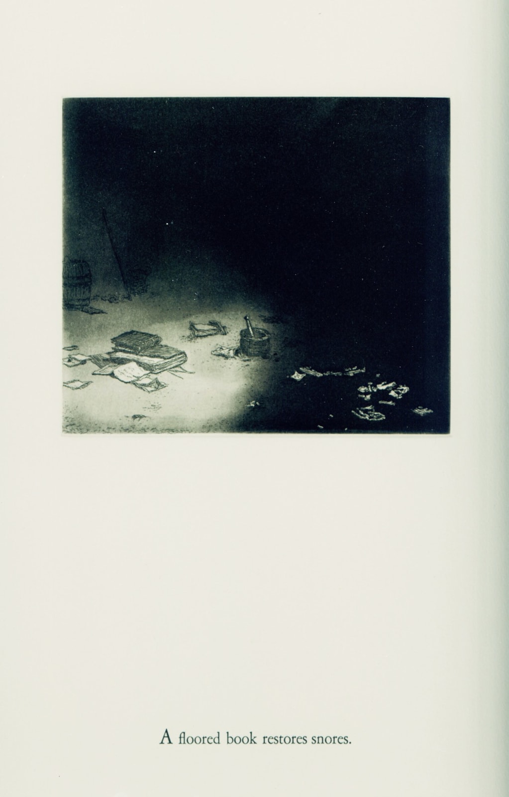The Chadwicks, Foreground Floor Debris, 2008