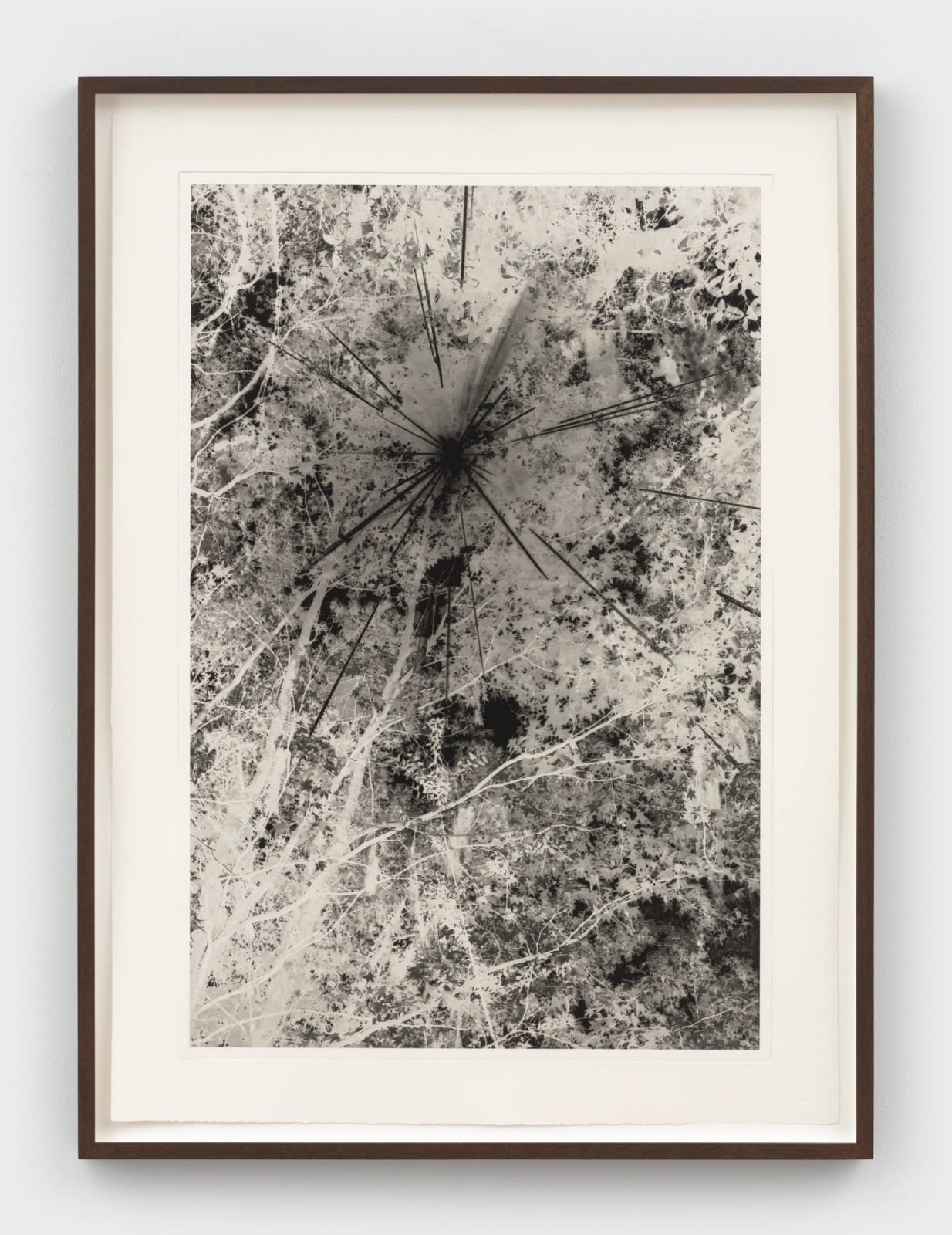 David Hartt, Black Sun, 2021