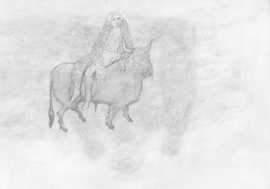 Alice Maher, Godchildren of Enantios, 2010