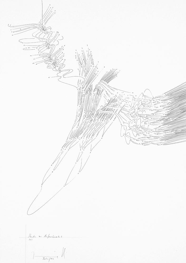 Jorinde Voigt, Studie zur Aufmerksamkeit 5, 2014