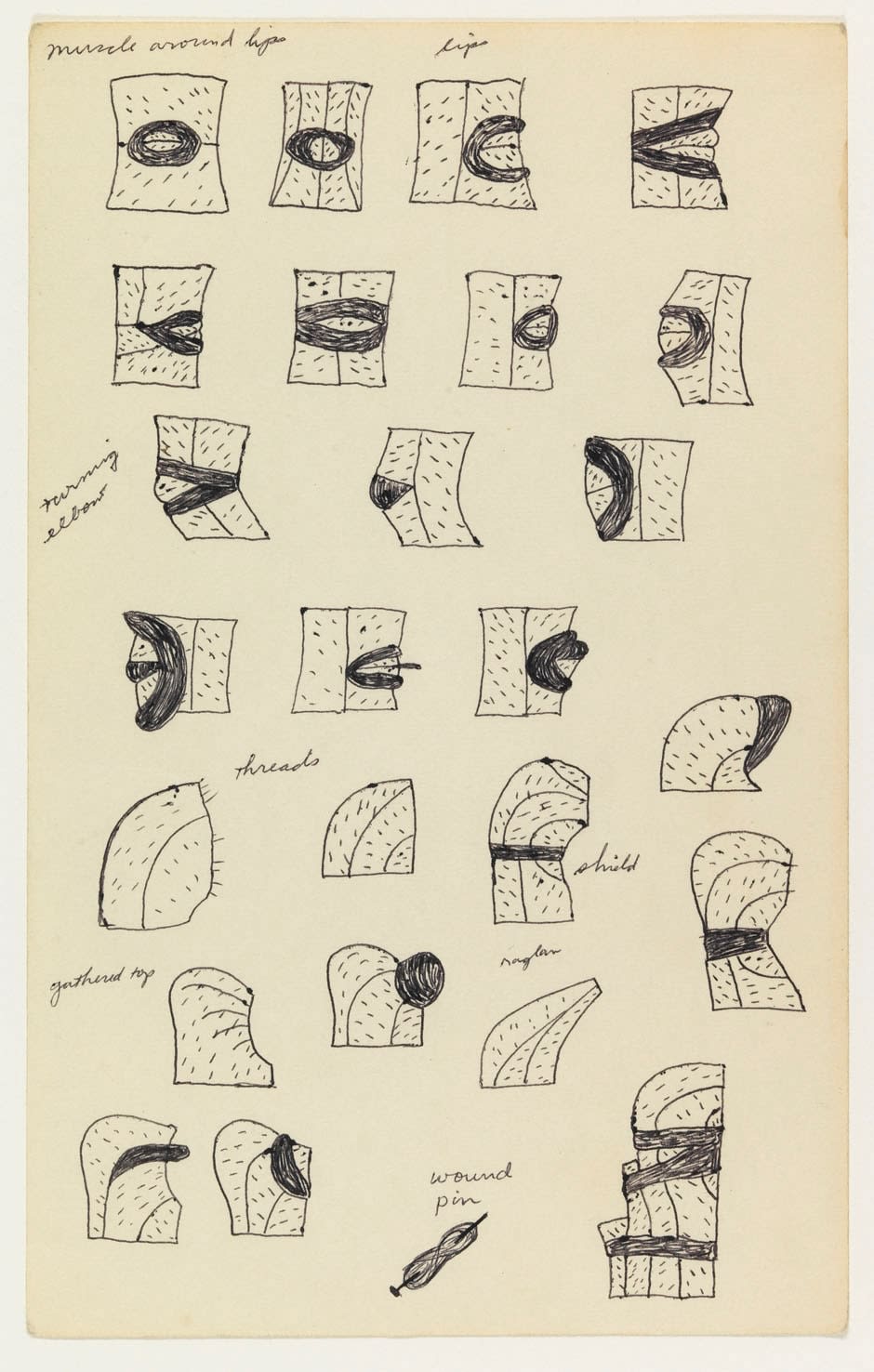 Christina Ramberg, Untitled (Muscle around Hips), c. 1974