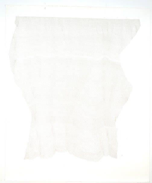 Alice Maher, Continuous Drawing 1, 2000